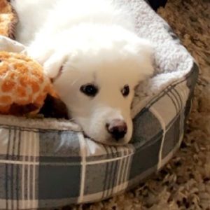 Meet your Posher, Ali